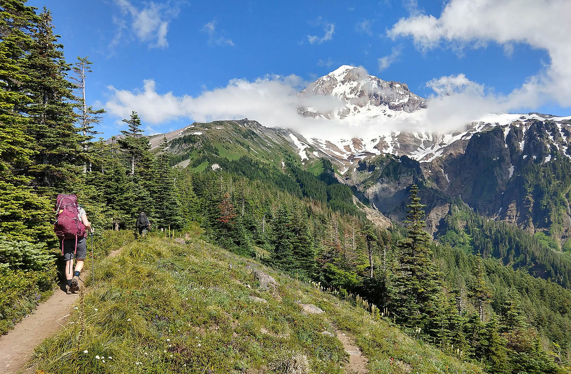 Keeping It Wild: Backpacking the Timberline Trail