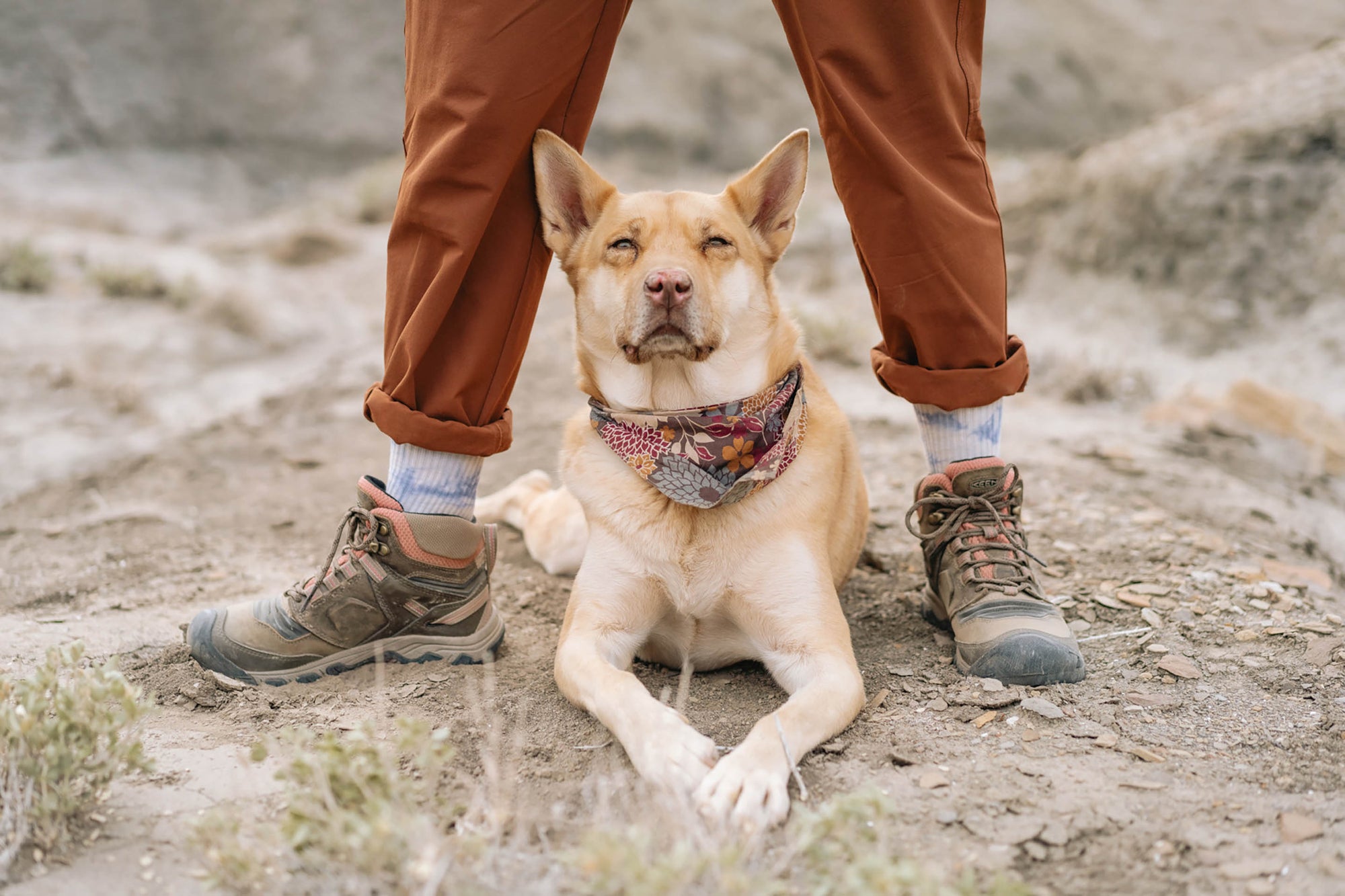 5 Dogtastic Ways to Celebrate National Dog Day