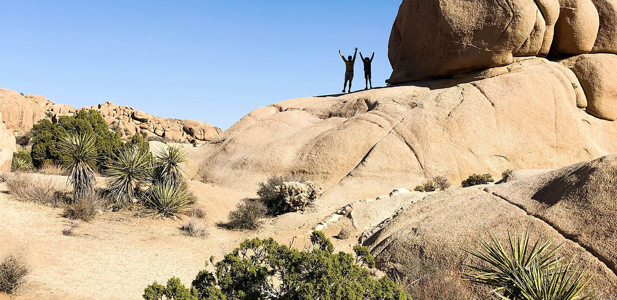 Family climbing boulders in Joshua Tree National Park