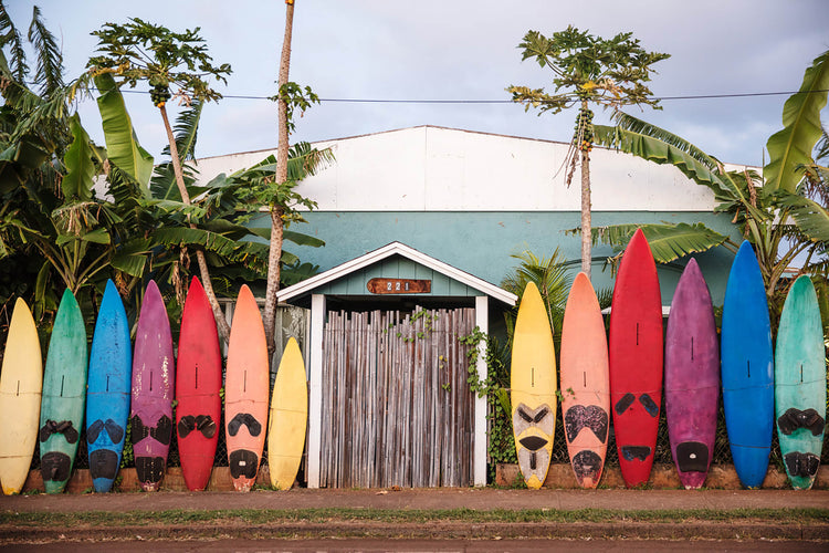 Go Guide: Adventuring in Maui