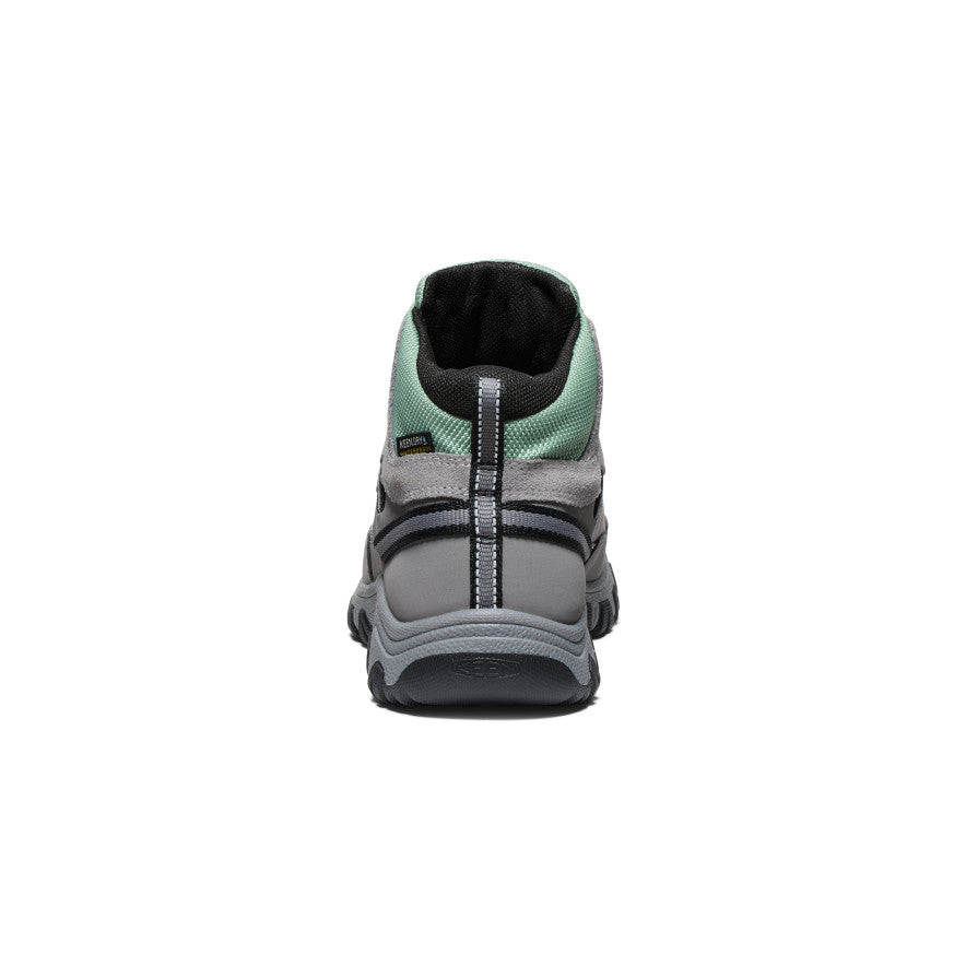 Big Kids' Targhee IV Waterproof Hiking Boot - Back Image